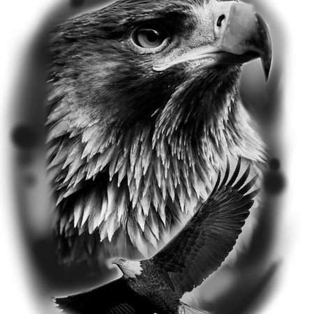 Минималистичный дизайн татуировки черный орел с мерцающими световыми эффектами | Премиум Фото