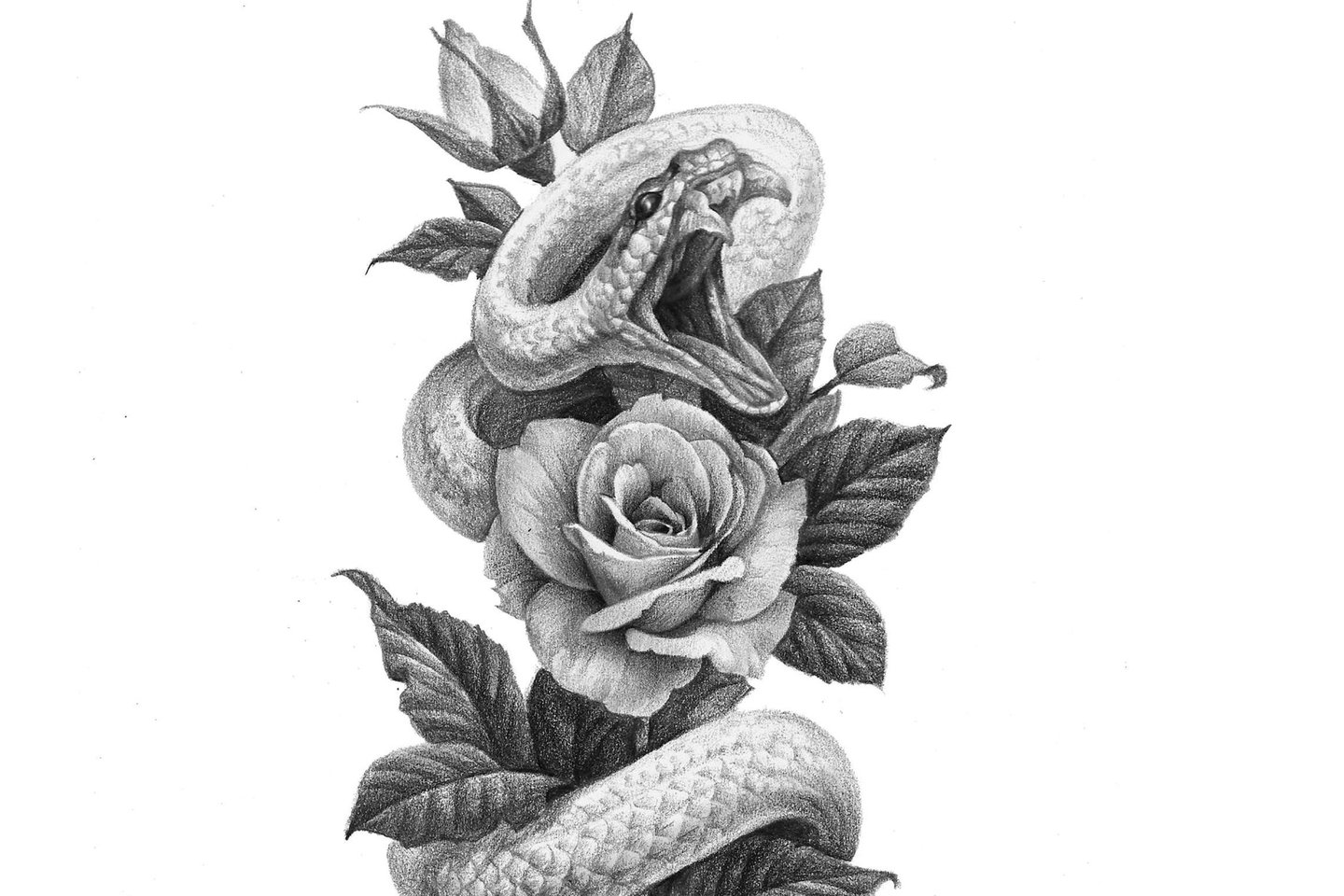 Изображения по запросу Тату эскиз змея