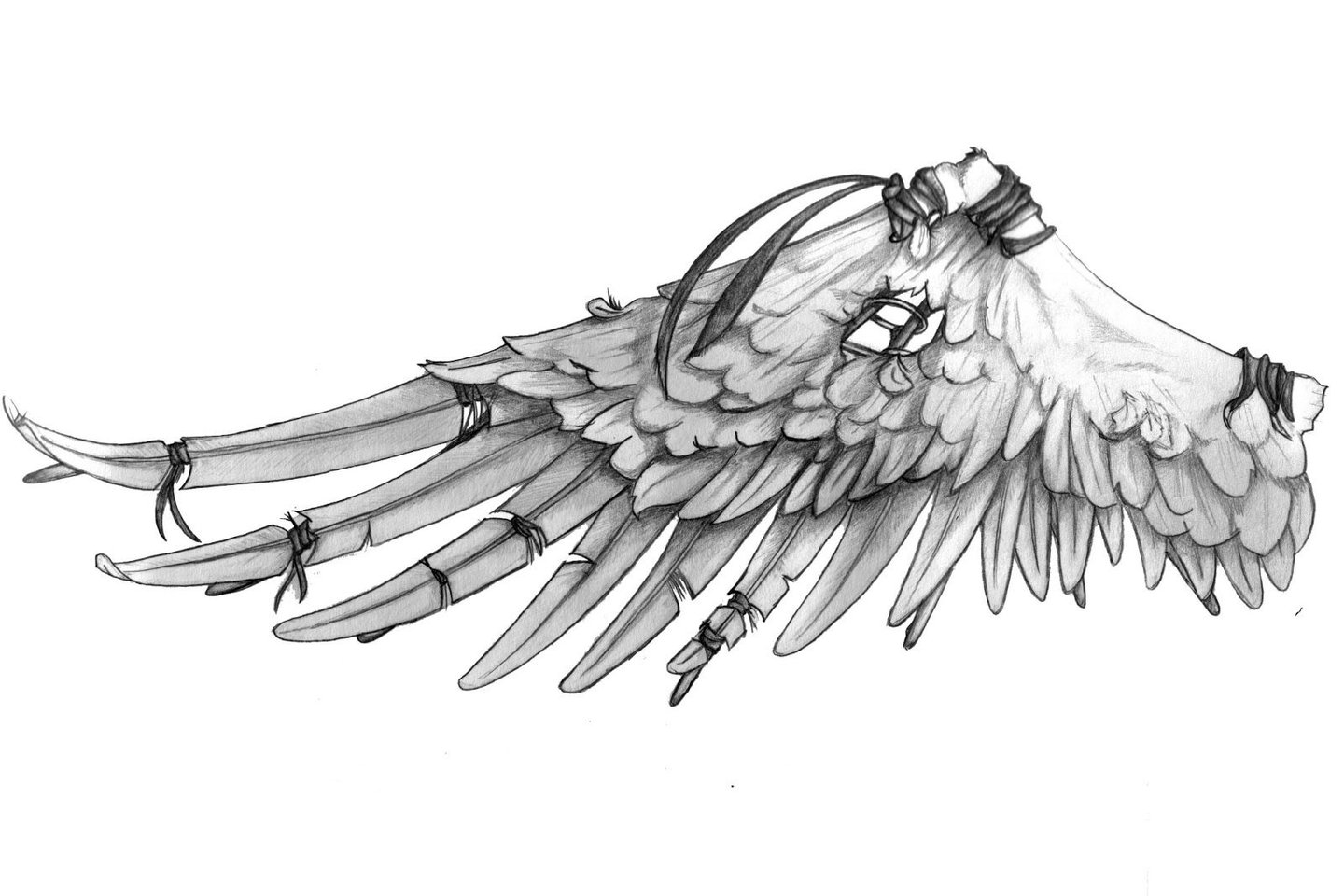 Символика тату крылья