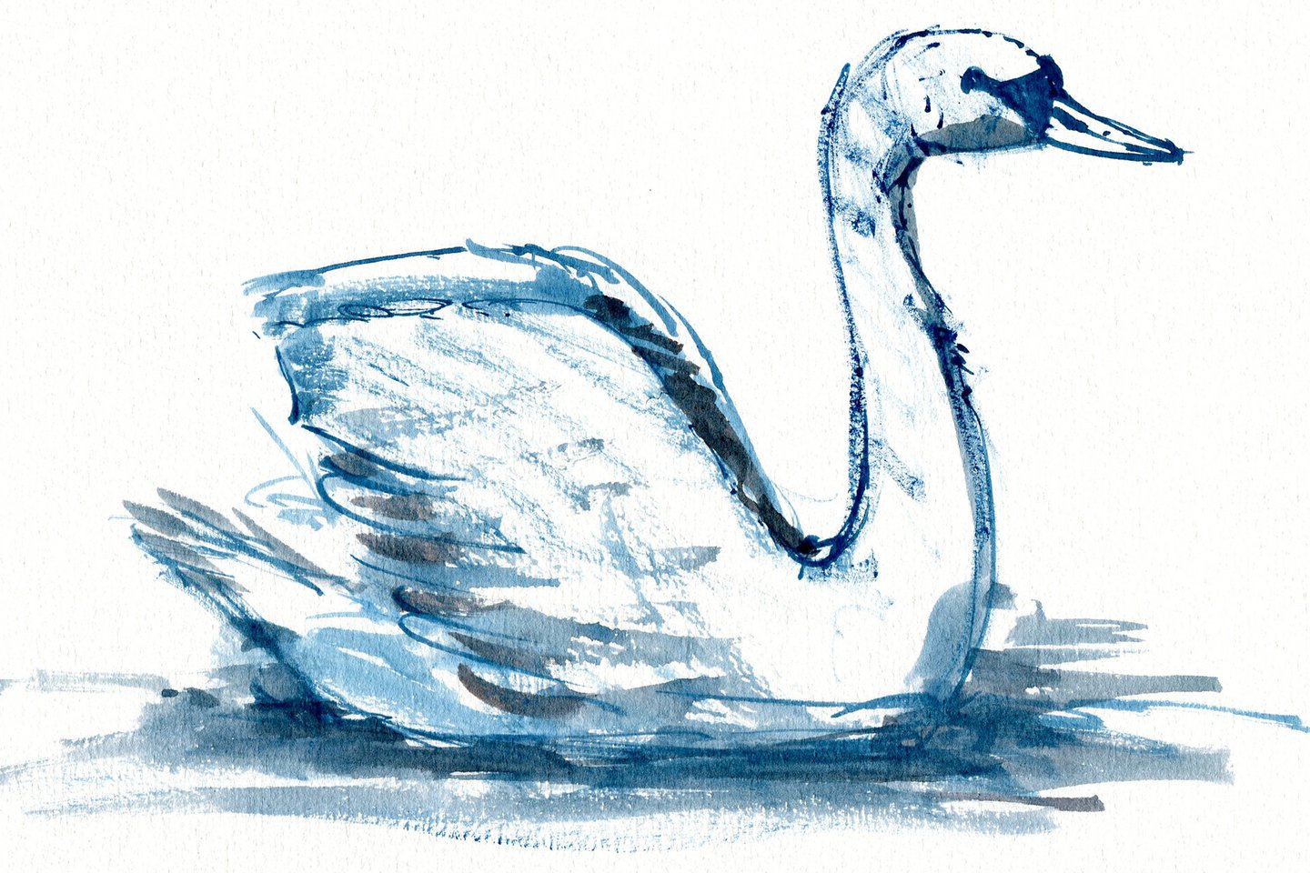 Лебедь на воде рисунок