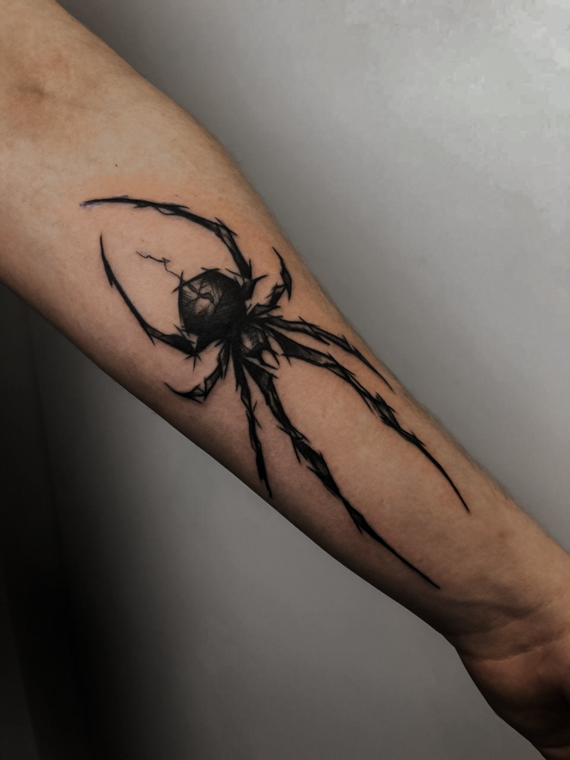 Tattoo Salon in Alexandria - VeAn Tattoo