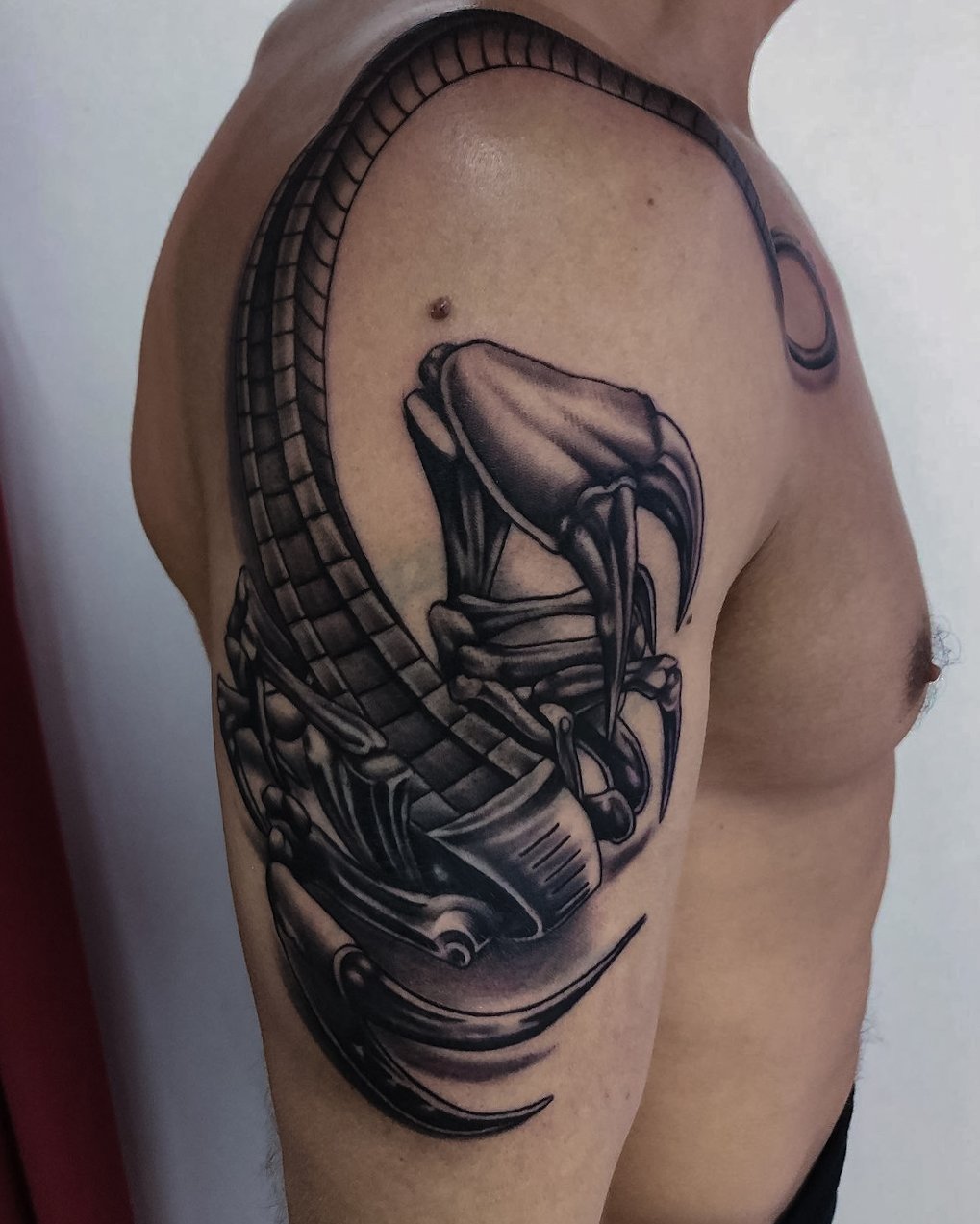 TATTOO STUDIO FANTASY INK/TATU STUDIO