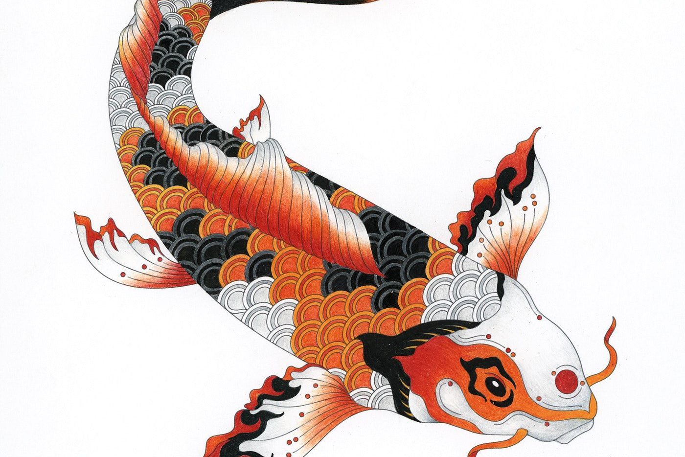 Значения японских татуировок: карп Кои
