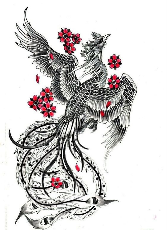 Идеи на тему «Эскиз птицы» (42) | эскиз птицы, эскиз, татуировки