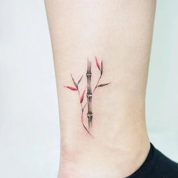 Тату бамбук | ANATOMY TATTOO STUDIO | Дзен