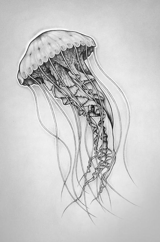 Значение тату медуза