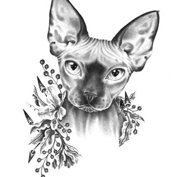 коты эскиз