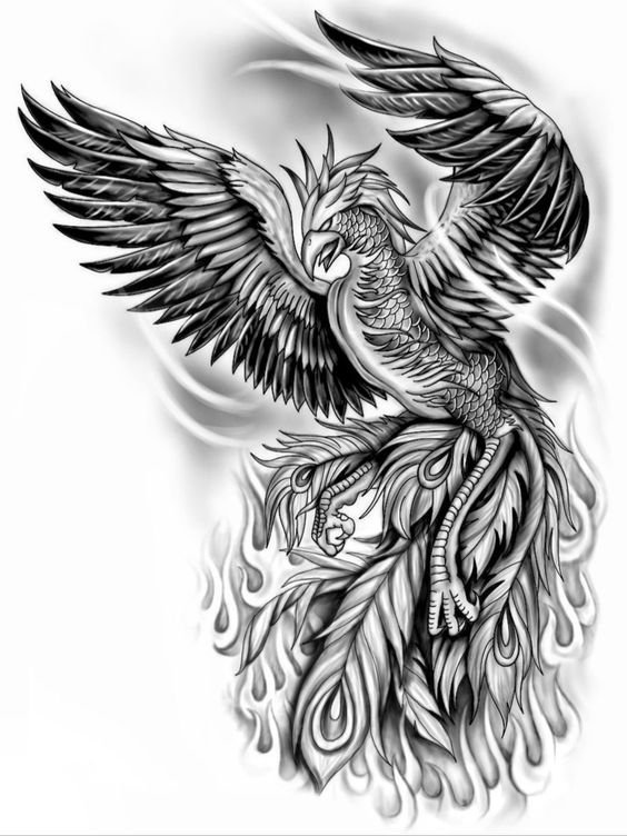 Изображение птицы феникс – татуировка с мистическим смыслом