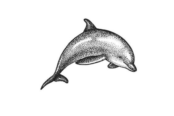 Эскизы тату дельфин