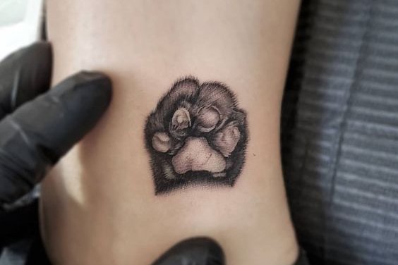 Значение татуировки кошачьи лапки