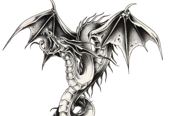 эскиз тату китайский дракон