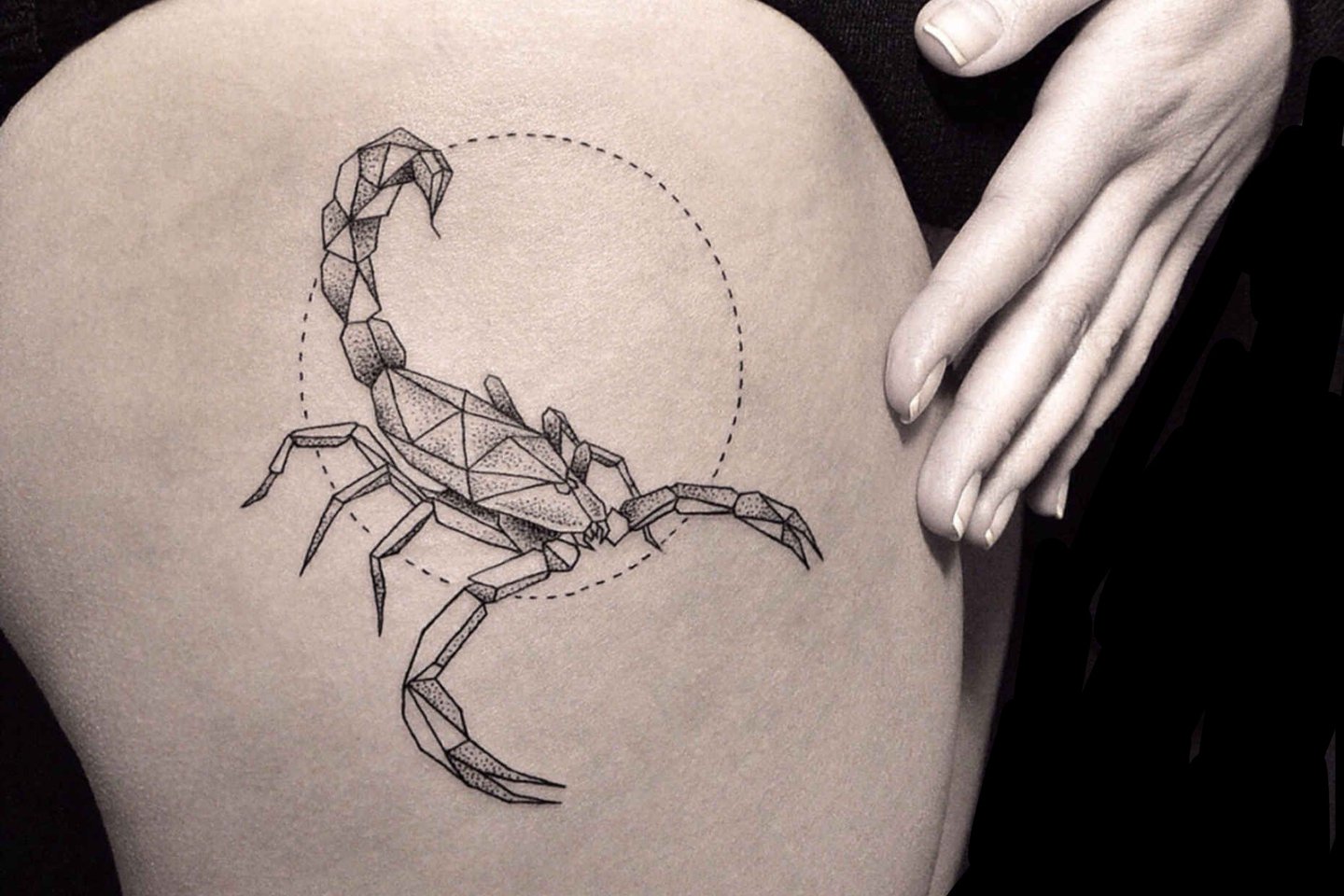 Эскизы татуировок скорпион: выберите свой идеальный дизайн