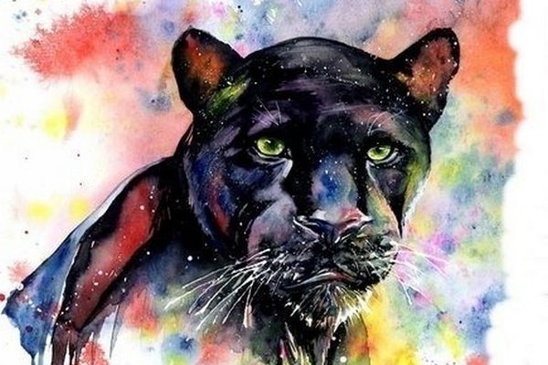 Тату эскизы пантеры