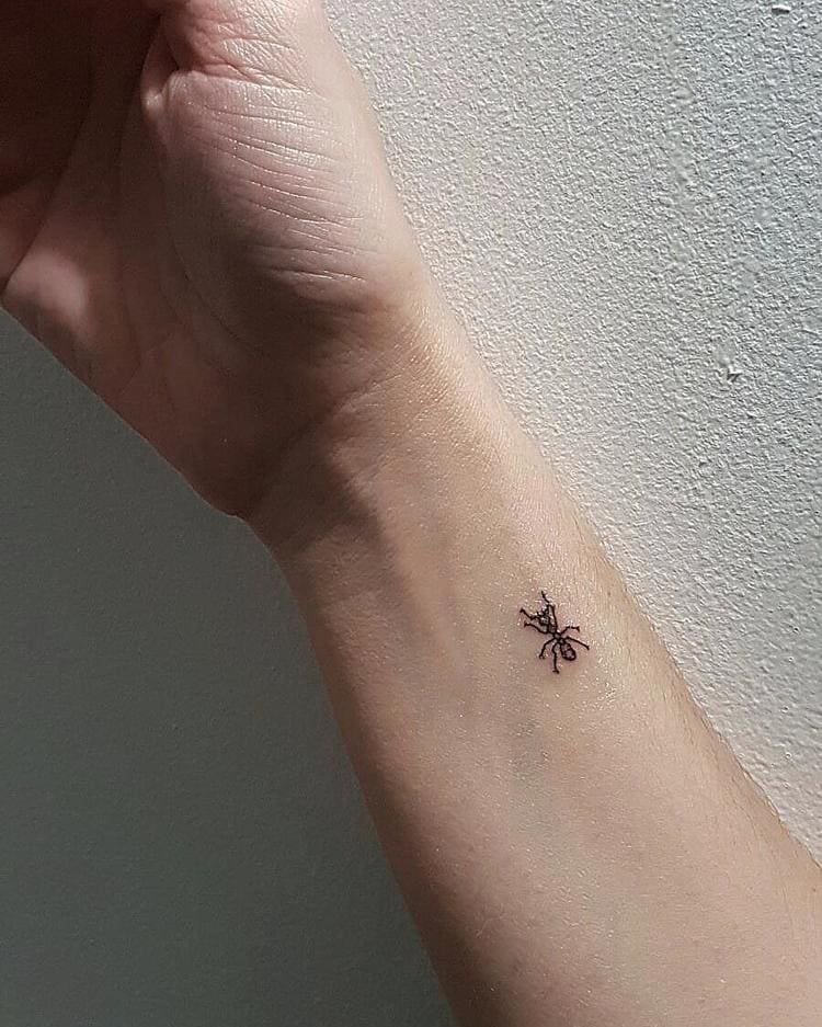 «Эскиз муравья тату чёрно-белый» — создано в Шедевруме