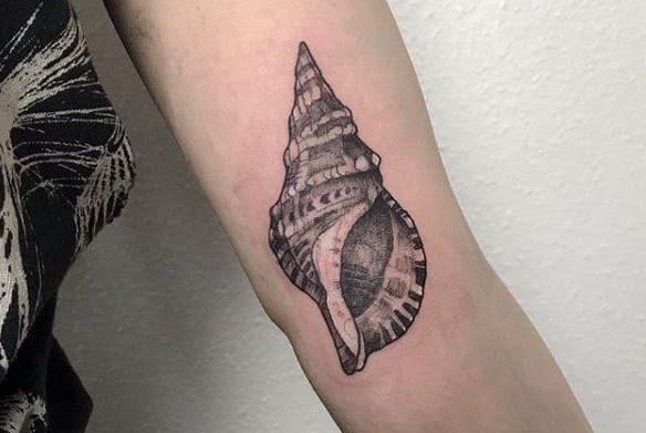 Tattoo • Значение тату: Ракушка