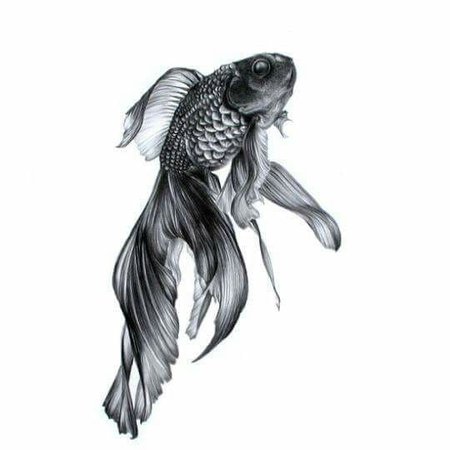 Тату (татуировки) Рыбы: значение и эскизы для девушек и мужчин