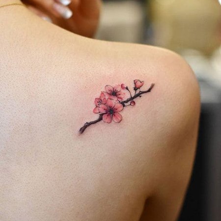 Значение татуировки сакура