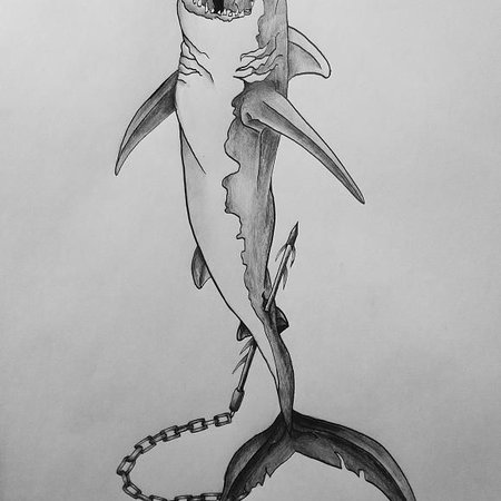 Татуировки акул