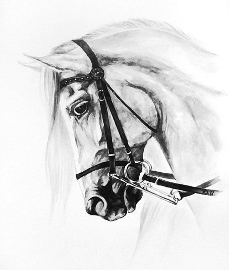 тату эскизы "Лошади" - VeAn Tattoo