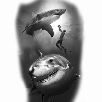 Тату акула: что означает изображение известной хищницы на вашем теле
