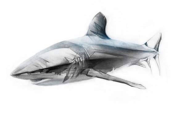 Татуировка акула: значение и фото