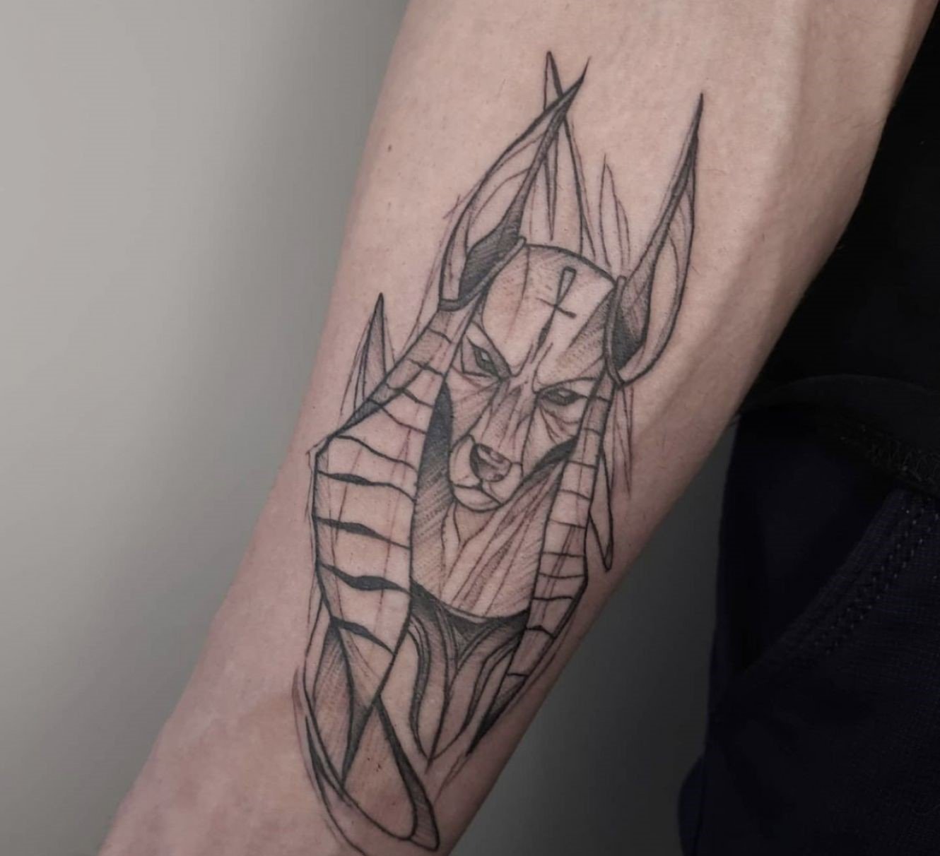 Значение татуировки Анубис
