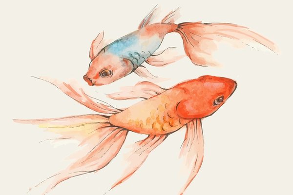 Образ золотой рыбки в мировой культуре