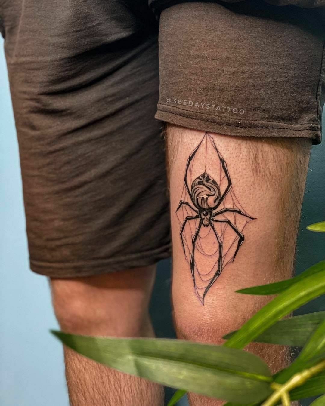 тату ескізи "Павук" - VeAn Tattoo