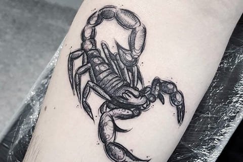 Тату эскизы "скорпион"