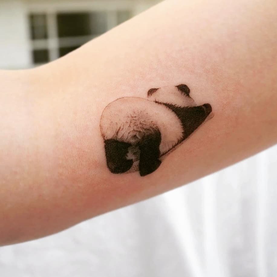 тату эскизы "Панда" - VeAn Tattoo