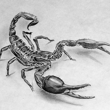 Татуировка скорпион эскиз