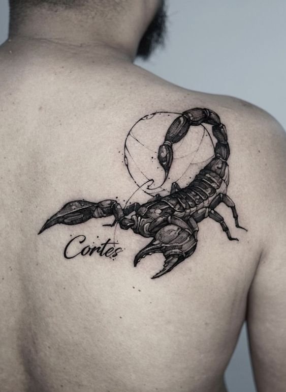 Тату скорпион (99 фото) - значение татуировки, эскизы 