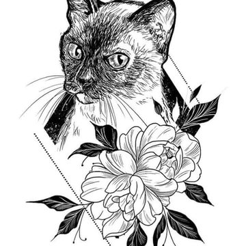 тату эскиз кот