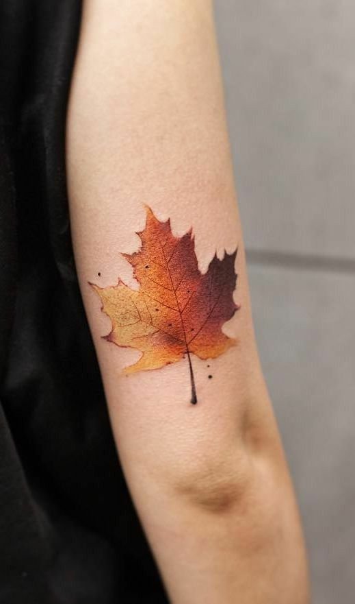 Значение татуировки клен, кленовый лист