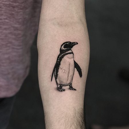 Татуировки пингвина на голени