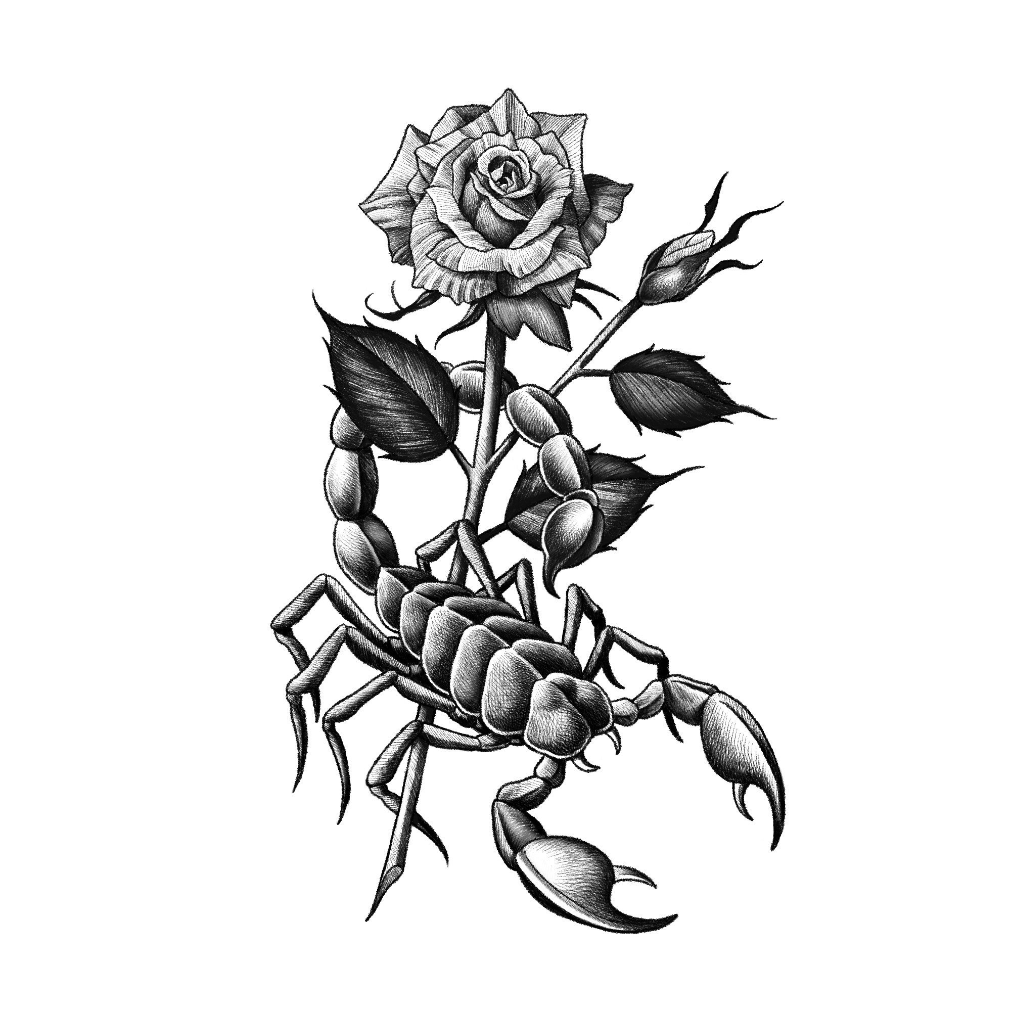 Тату (татуировки) Скорпион: значение и эскизы для девушек и мужчин